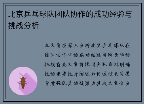 北京乒乓球队团队协作的成功经验与挑战分析